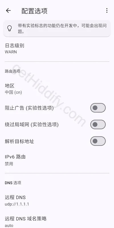 Hiddify App Android/iOS 配置选项